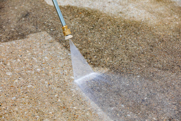 Best Patio and Deck Pressure Washing  in Cold Spring, MN